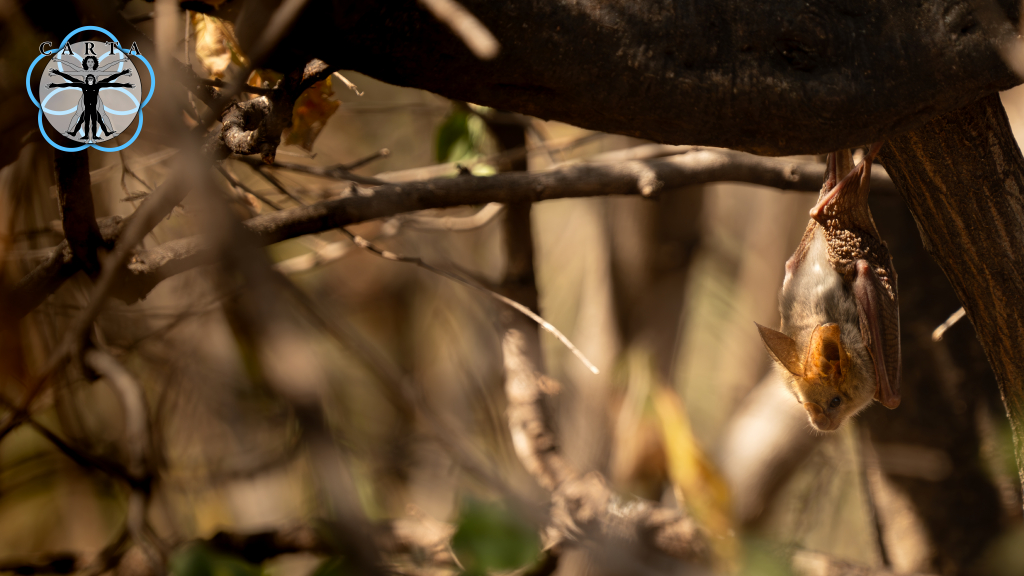 Location: Yaida Valley, Tanzania. Photo credit: Jesse Robie. © 2024