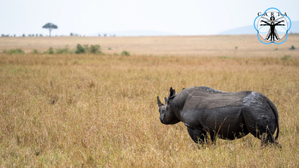 Location: Kenya. Photo credit: Anupam Garg. © 2020